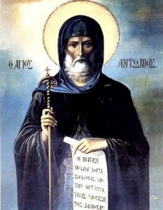 Mohimi i botës dhe pasuria
