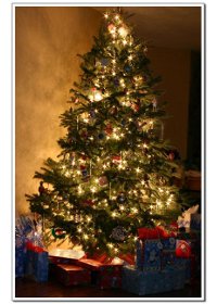 Pema e Krishtlindjeve, një simbol i krishterë apo një idhull pagan?