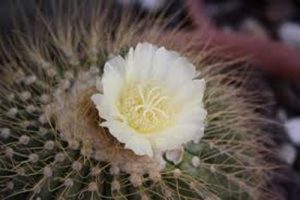 Perëndia jep gjithmon atë që na nevojitet!